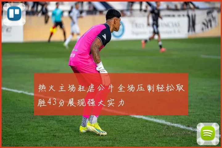 热火主场狂虐公牛全场压制轻松取胜43分展现强大实力