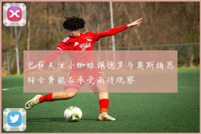 巴萨关注小蜘蛛佩德罗与奥斯梅恩转会费能否承受尚待观察